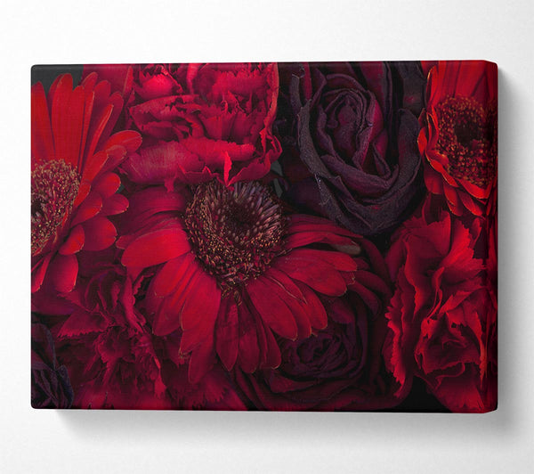  A Canvas Print of Red dying flowers Canvas Print