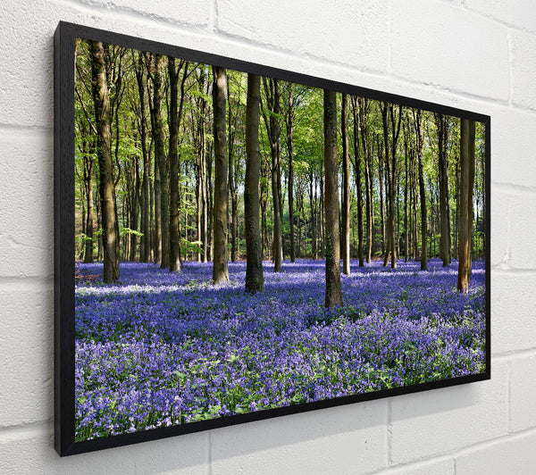 Beautiful purple flowers in the woods