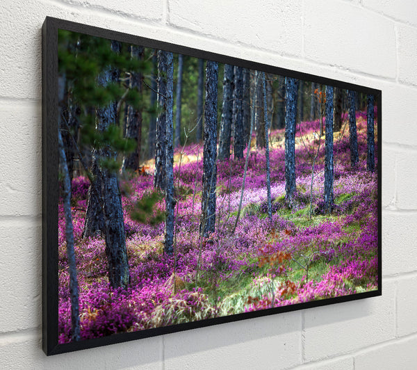 Downhill woodlands