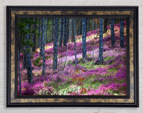 Downhill woodlands Framed Print