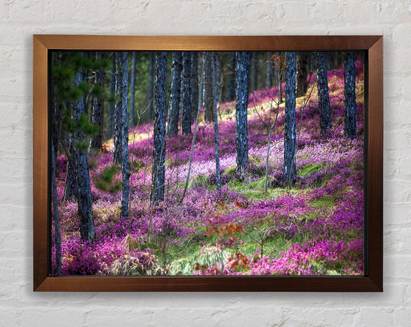 Downhill woodlands Framed Print