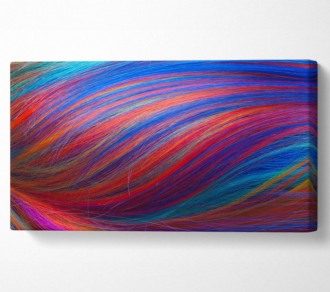  A Canvas Print of Multicoloured hair up close Canvas Wall Art