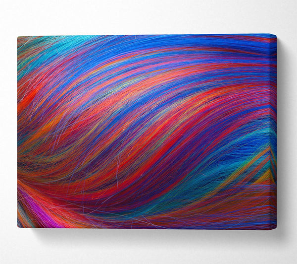 A Canvas Print of Multicoloured hair up close Canvas Wall Art