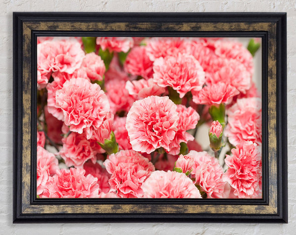 Pink floweres of plenty Framed Print