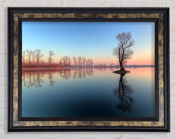 Ice cold trees in the river Framed Print