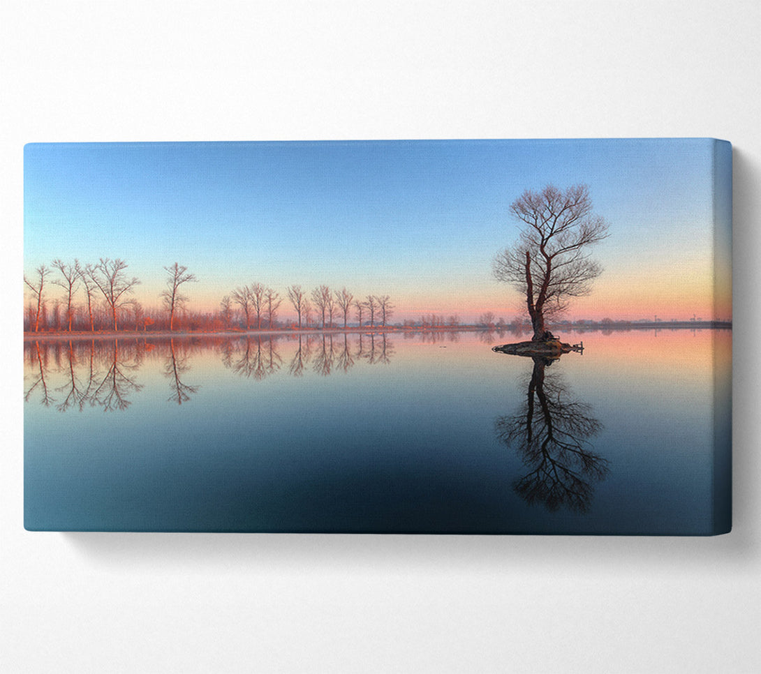  A Canvas Print of Ice cold trees in the river Canvas Wall Art