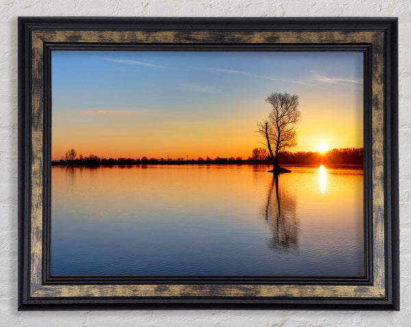Sunset above the trees river Framed Print