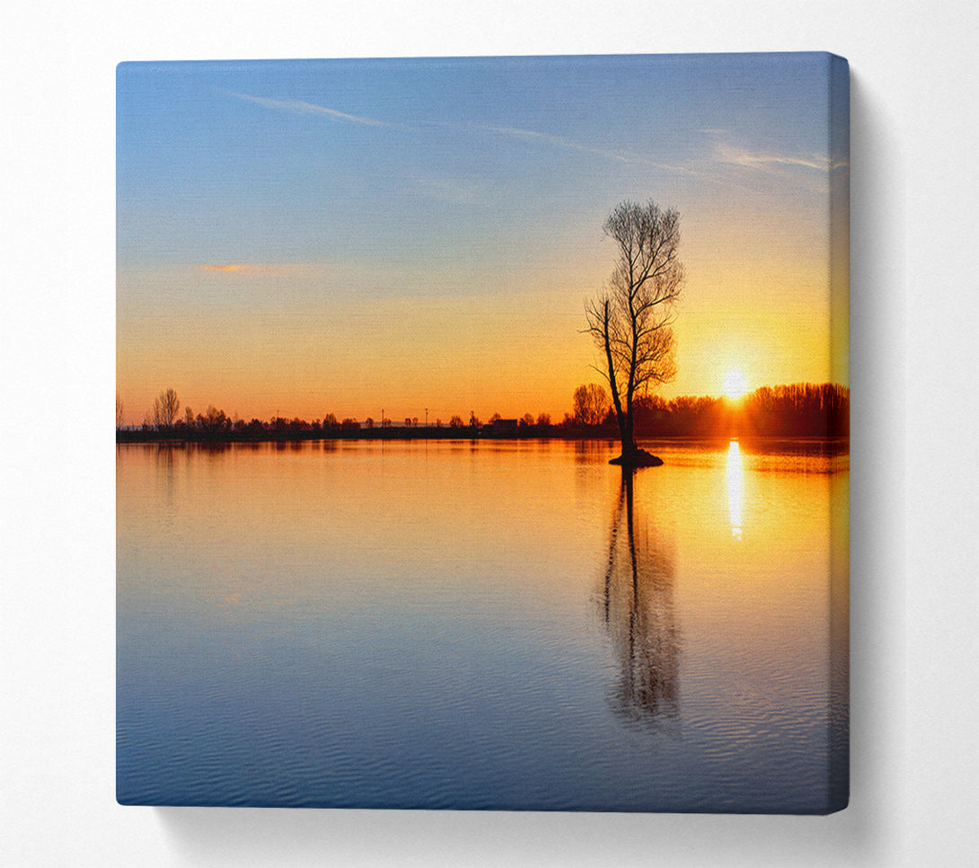  A Canvas Print of Sunset above the trees river Canvas Art