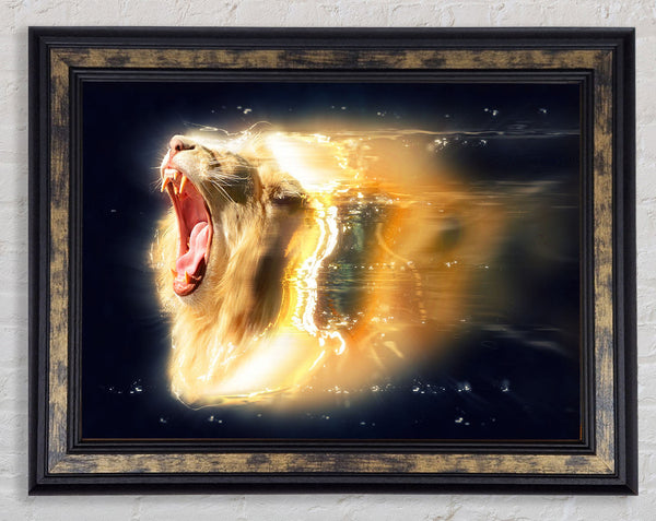 Lion roaring light Framed Print
