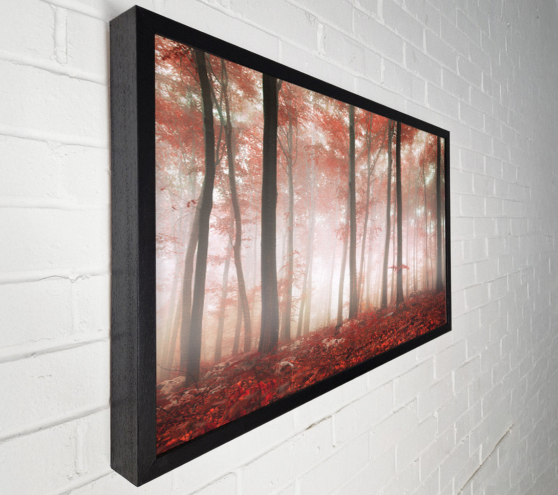  A Canvas Print of Red misty woods Canvas Print