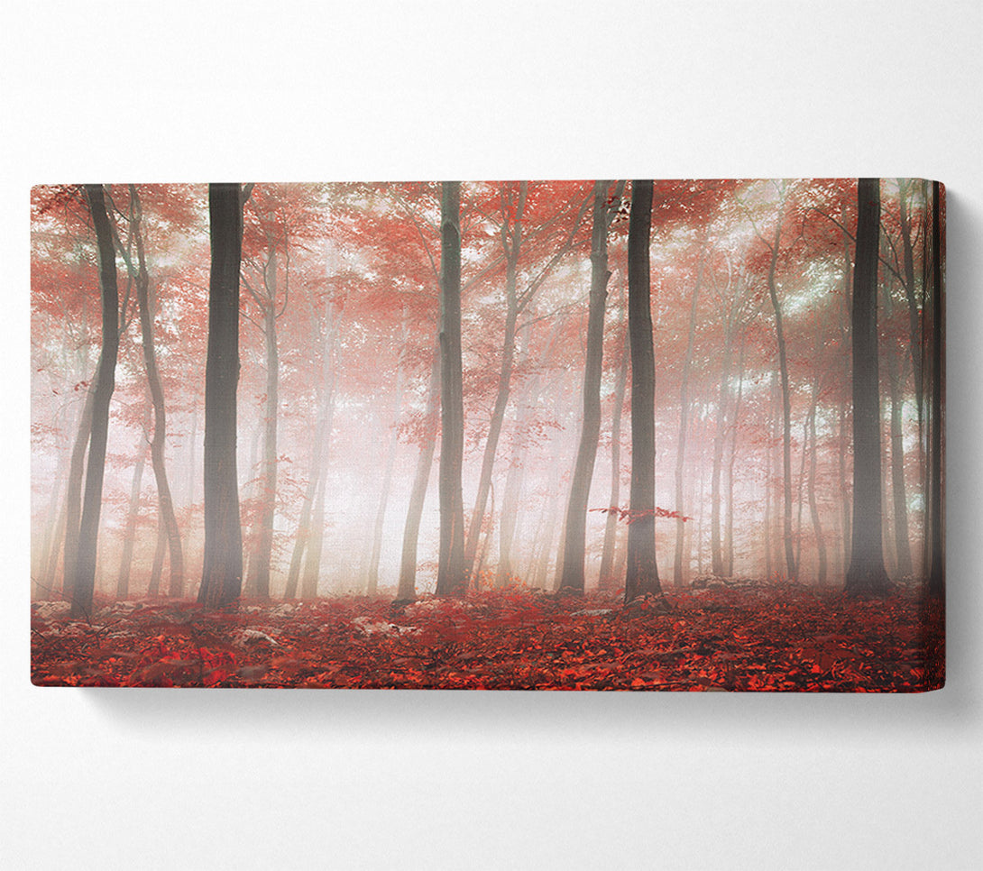  A Canvas Print of Red misty woods Canvas Print