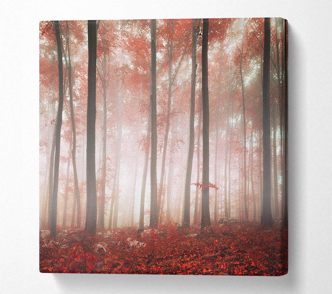  A Canvas Print of Red misty woods Canvas Print