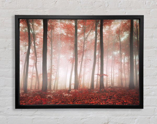 Roter nebliger Wald