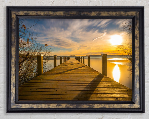 Walkway to the lake Framed Print