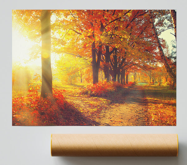 Autumn Wonder Giclee Print
