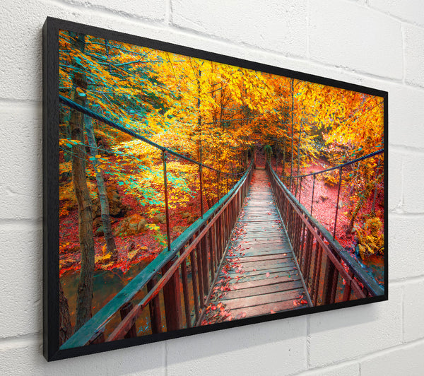 The rope bridge through the forest