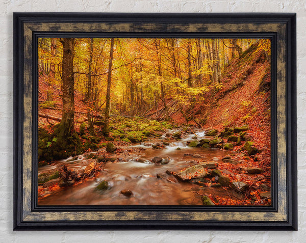Soft trickling water through the trees Framed Print