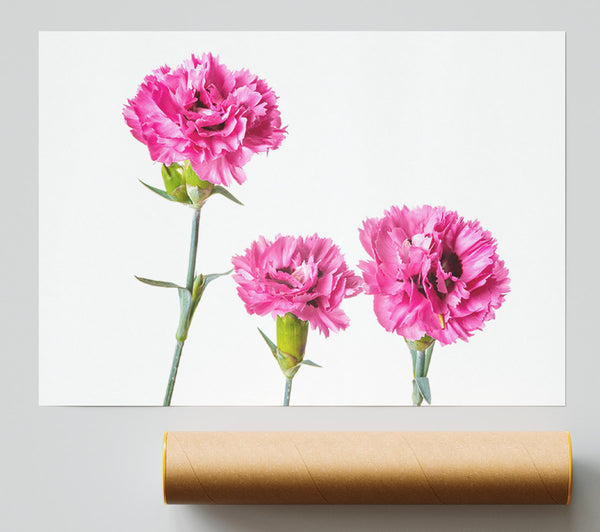 Pink Flowers Standing Up Giclee Print