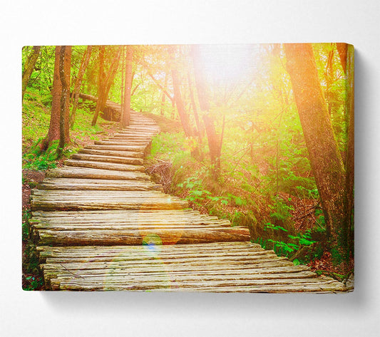 Log trail through the woods Canvas Wall Art