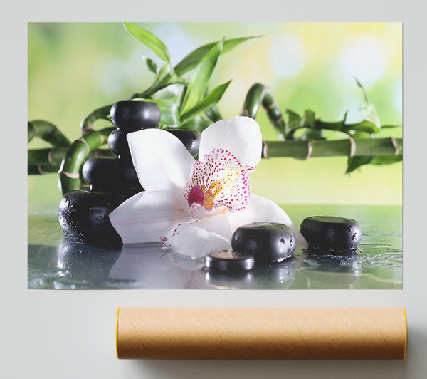 Orchids On The Stones Bamboo Print
