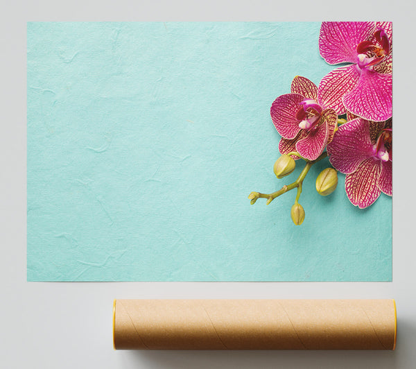 Orchids On The Blue Print