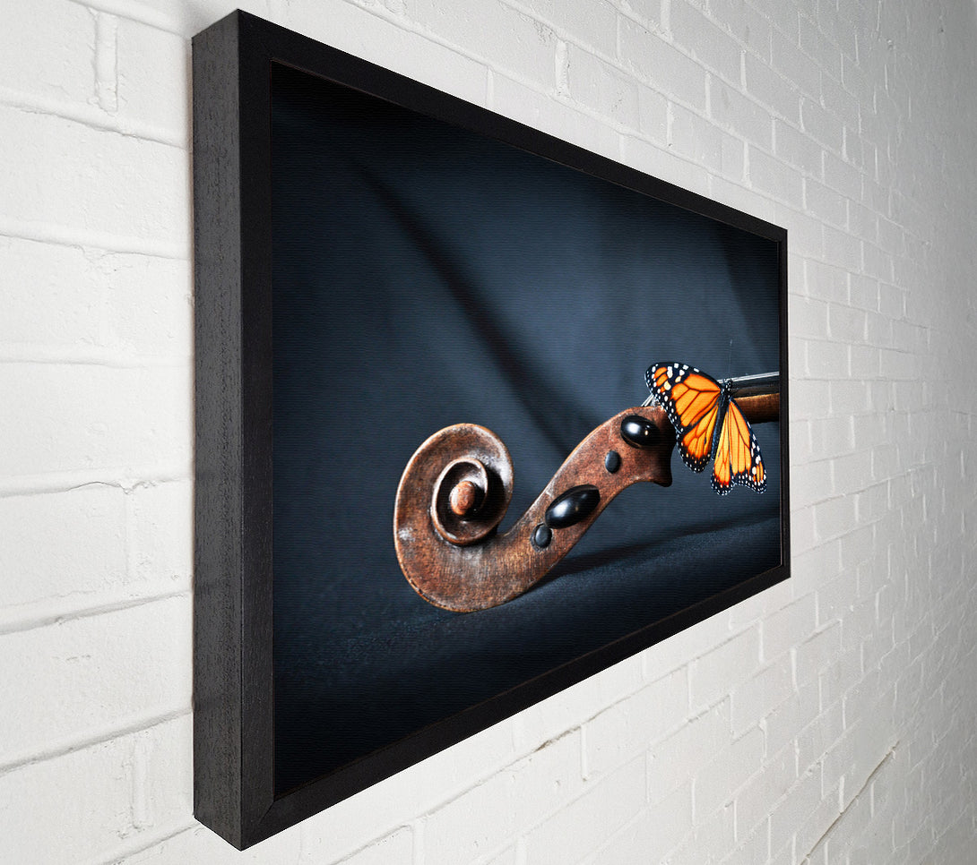  A Canvas Print of Butterfly resting on Instrument Canvas Print