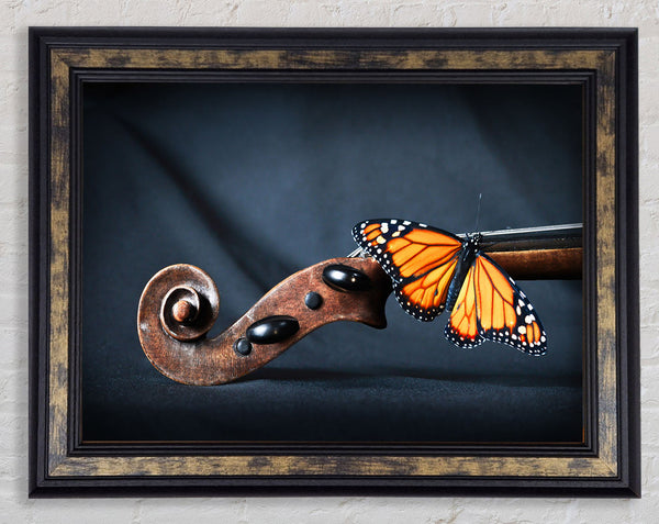 Butterfly resting on Instrument Framed Print