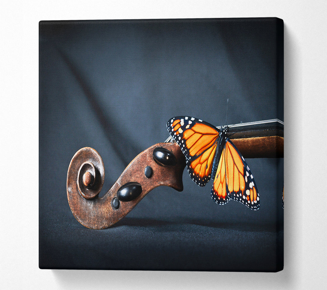  A Canvas Print of Butterfly resting on Instrument Canvas Print