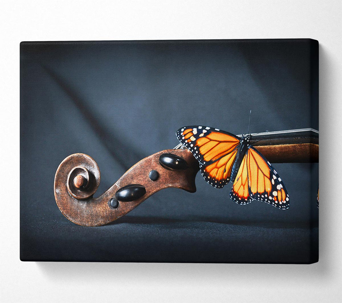  A Canvas Print of Butterfly resting on Instrument Canvas Print