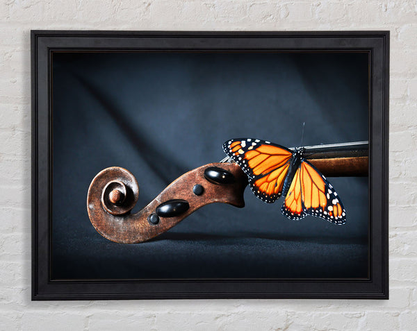 Butterfly resting on Instrument Framed Print