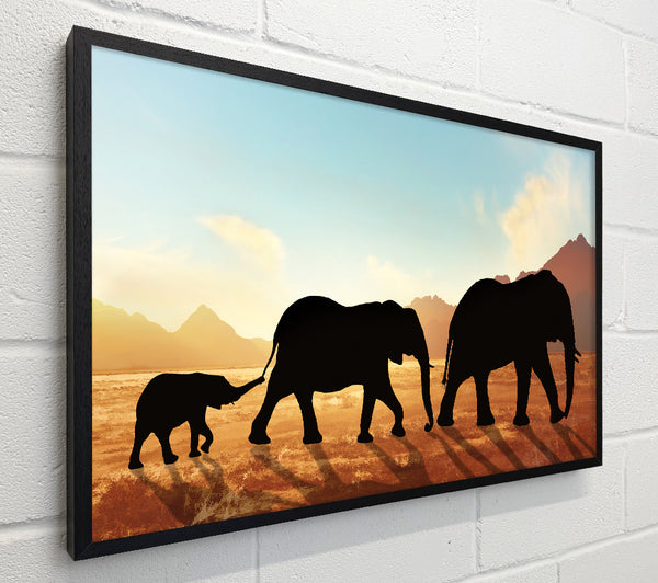 Elephants sillouette walking