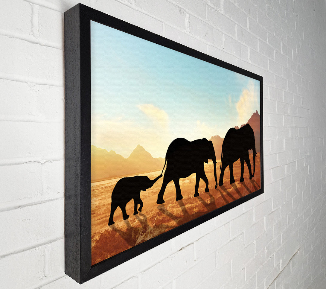  A Canvas Print of Elephants sillouette walking Canvas Art