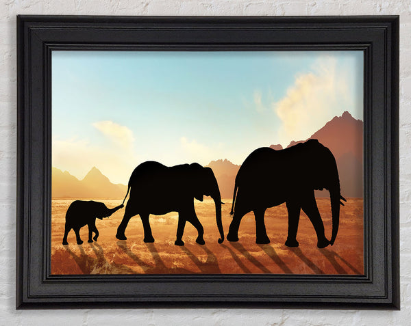Elephants sillouette walking Framed Print