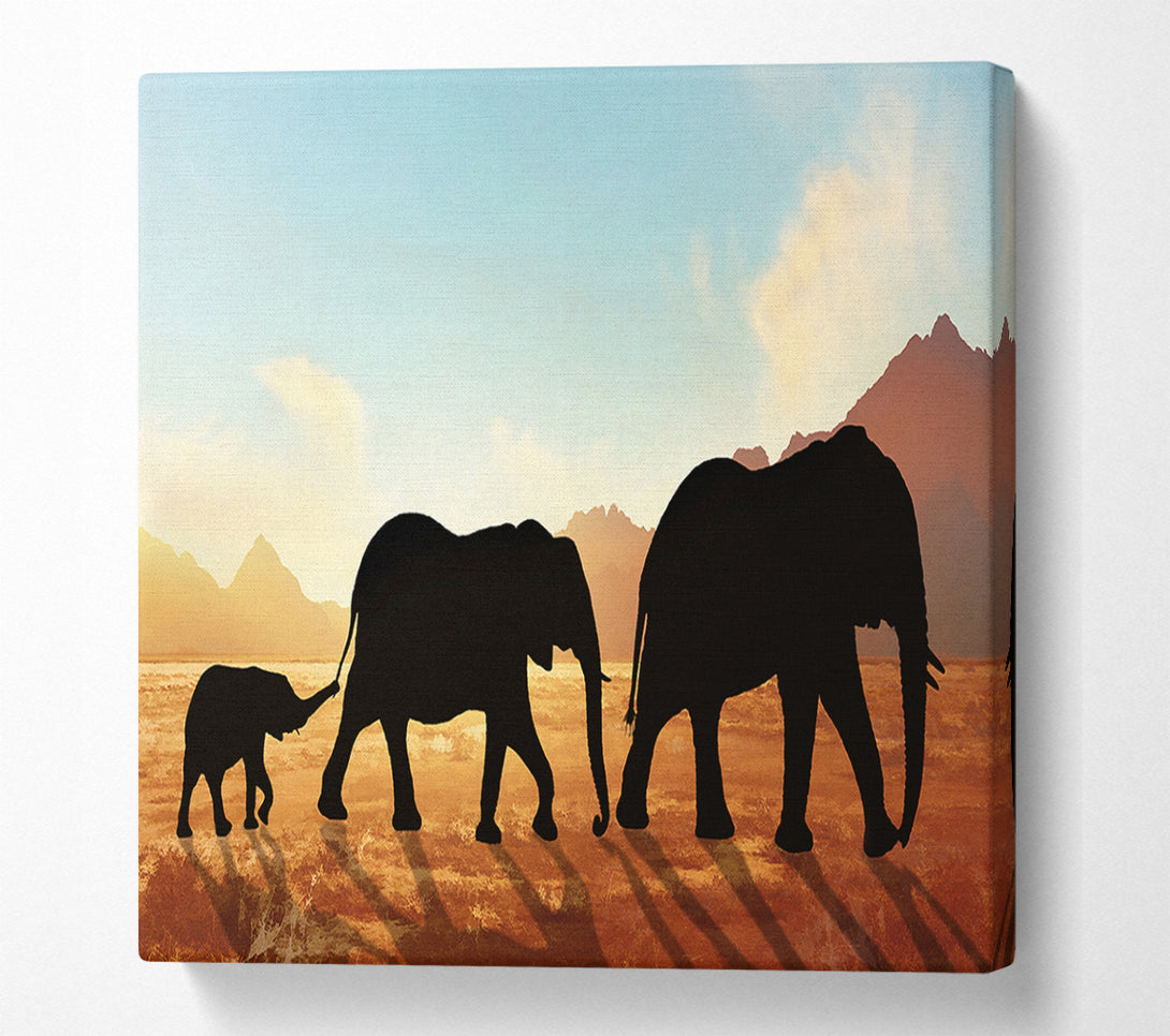  A Canvas Print of Elephants sillouette walking Canvas Art