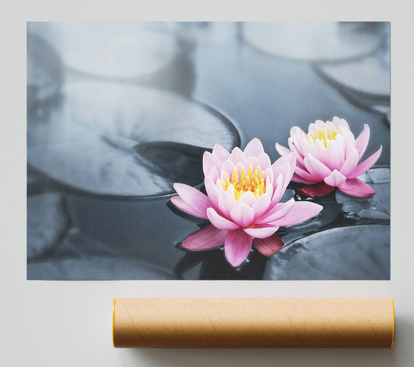 Flowers On The Water Floating Poster