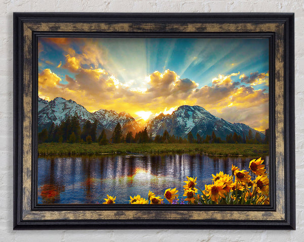 Flowers in front of the mountains Framed Print