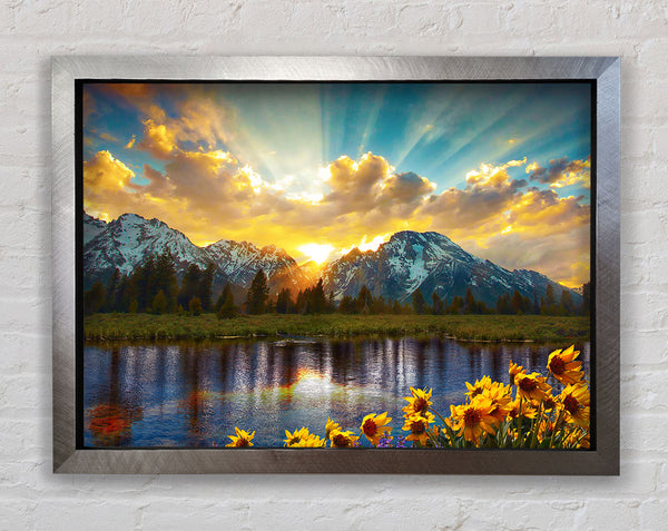 Flowers in front of the mountains Framed Print