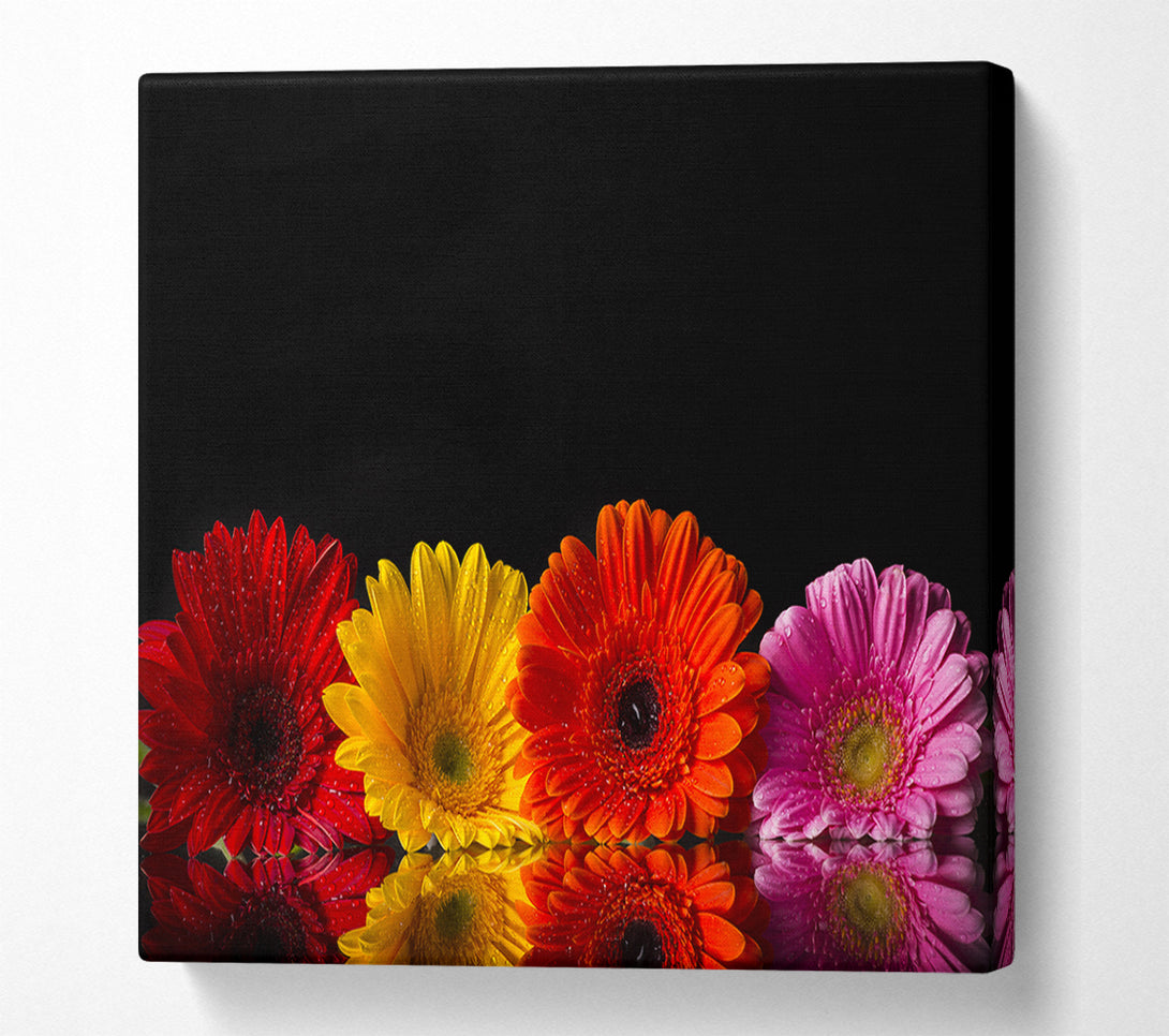  A Canvas Print of Multi coloured gerberas Canvas Print