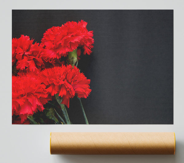 Red Flowers Dark Background Poster