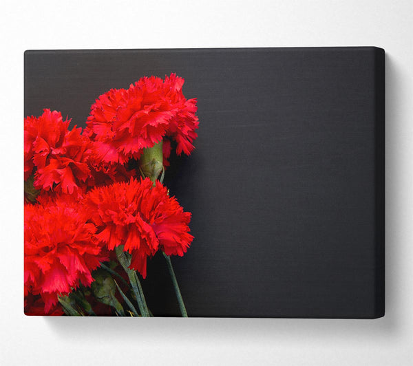  A Canvas Print of Red flowers dark background Canvas Wall Art