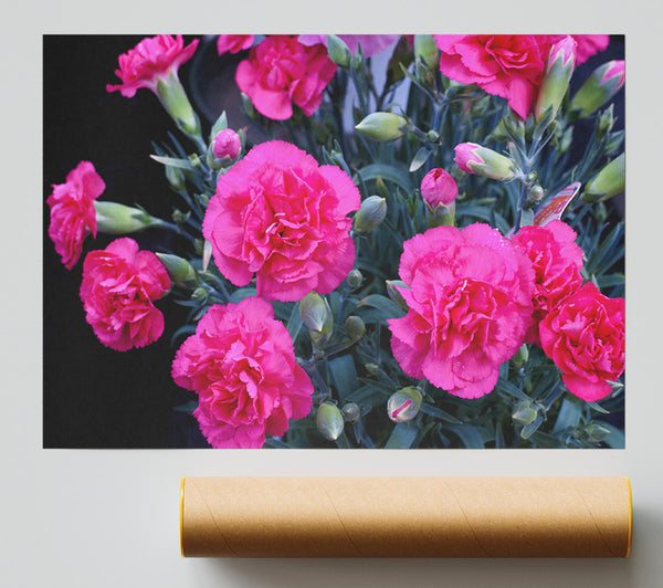 Pink Flowers Rising Print