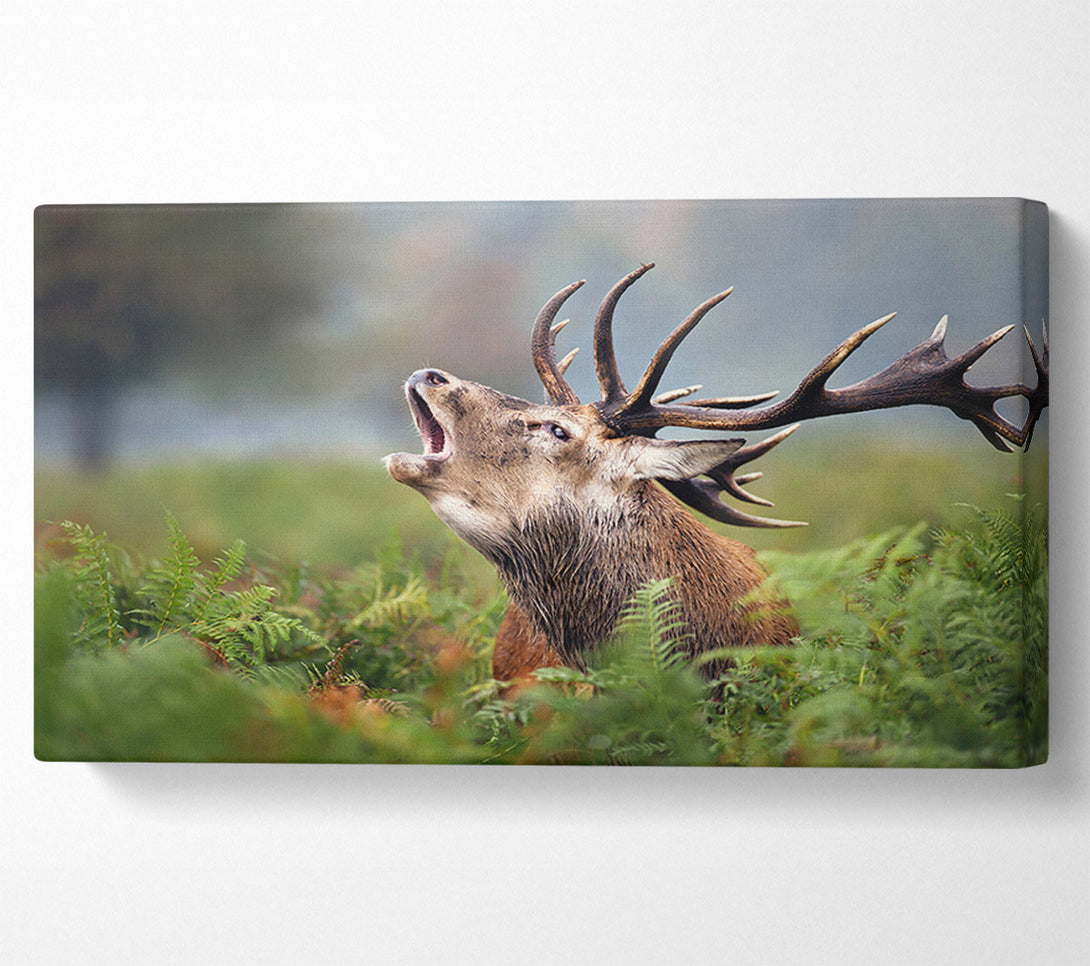  A Canvas Print of Elk call Canvas Art