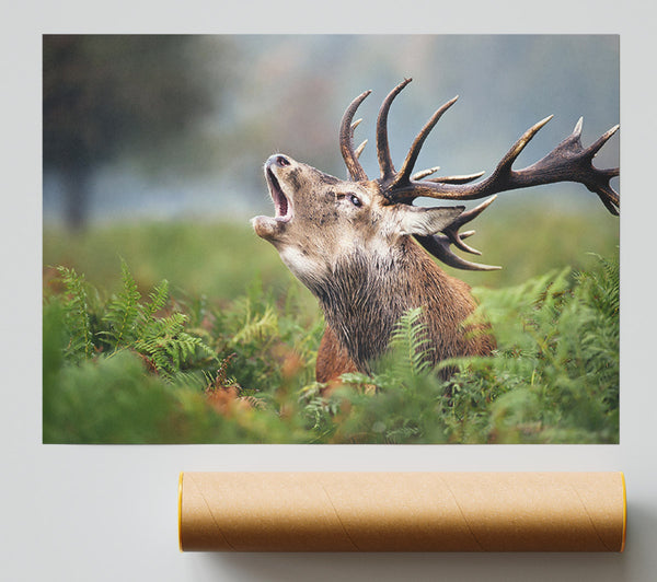 Elk Call Poster