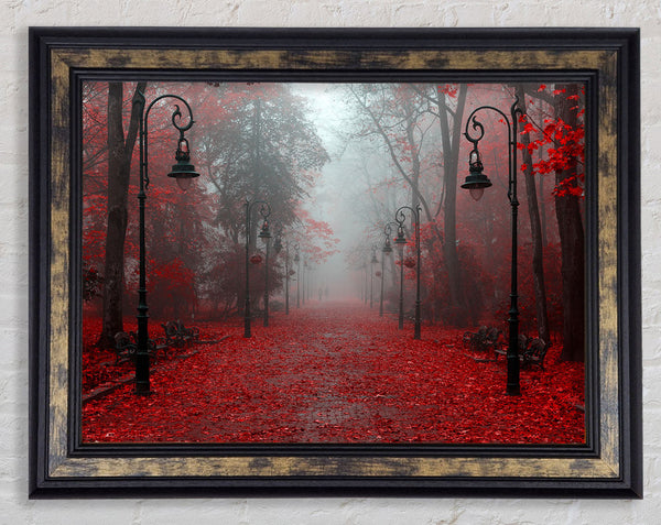 Red Autumn leaves streetlights Framed Print