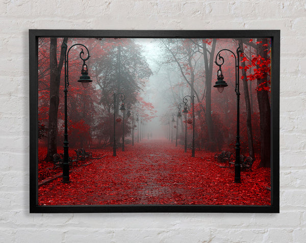 Rote Herbstblätter Straßenlaternen