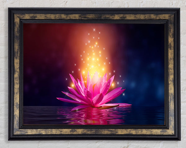 Magical Lillie emitting spores Framed Print