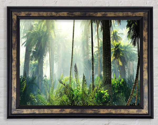 Green ancient forest Framed Print