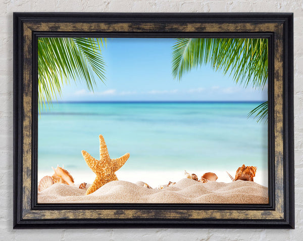 Starfish on the beach scene
