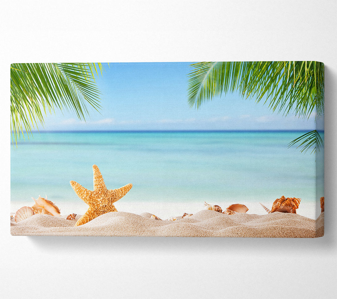  A Canvas Print of Starfish on the beach scene Canvas Art