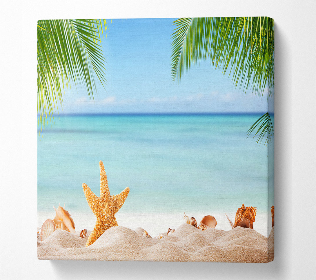  A Canvas Print of Starfish on the beach scene Canvas Art